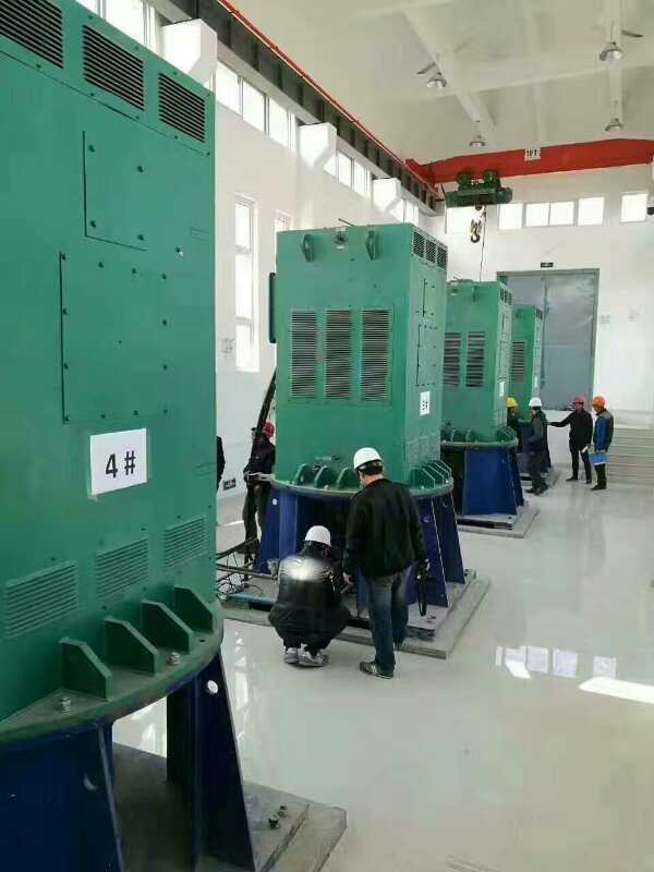 青州某污水处理厂使用我厂的立式高压电机安装现场哪家好